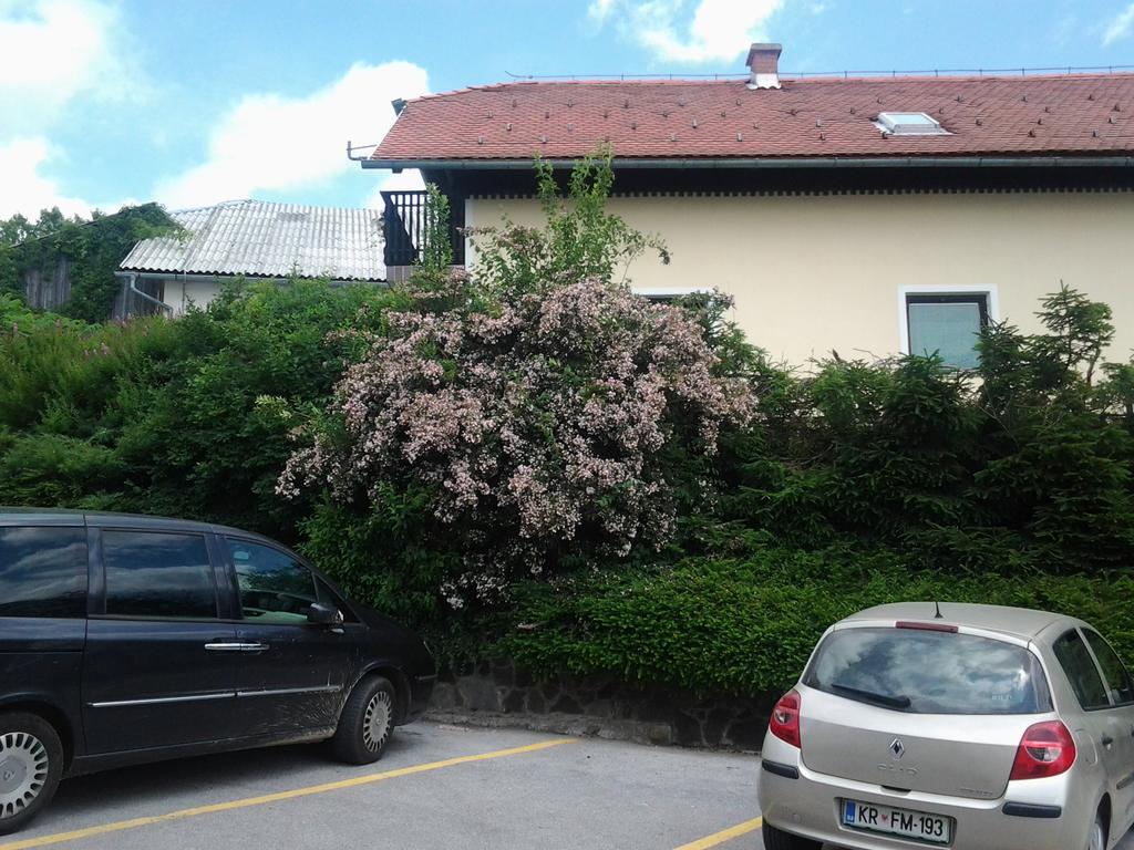 Hotel Tourist Farm Pacnik Resnik Exteriér fotografie